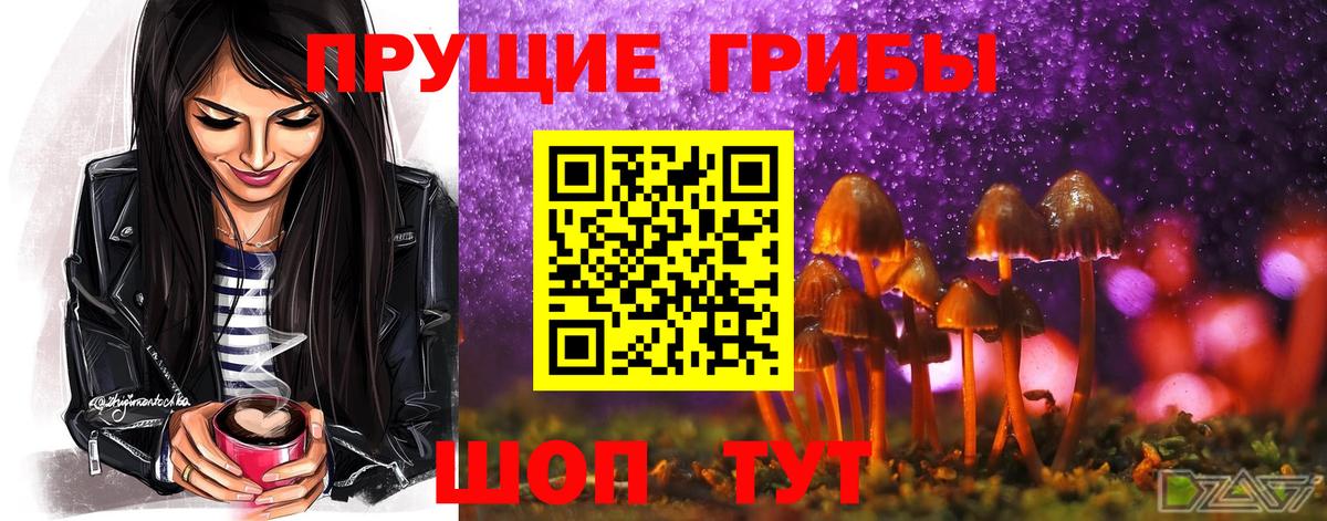 Галлюциногенные грибы Psilocybine cubensis Магнитогорск