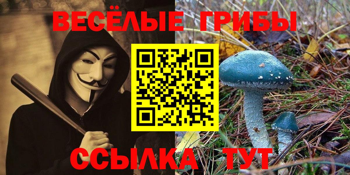 Магнитогорск  Галлюциногенные грибы Psilocybine cubensis  что такое наркотик  Вход с VPN  Галлюциногенные грибы Psilocybine cubensis 